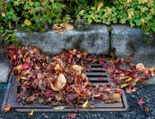 Emergency Plumber: Causes, Fixes, and Prevention for Blocked Outdoor Drains